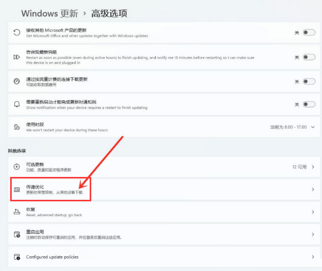 Windows11怎么开放资源共享？Windows11打开传递优化功能教程