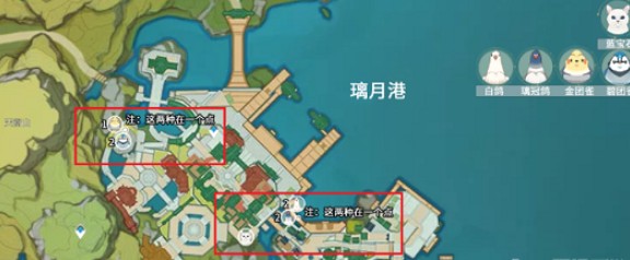 原神团雀刷新位置在哪里？原神团雀刷新位置介绍