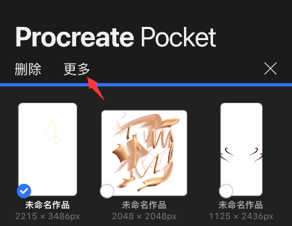 procreate pocket怎么预览作品？procreate pocket预览图片教程