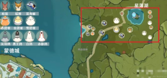 原神团雀刷新位置在哪里？原神团雀刷新位置介绍