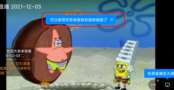 钉钉如何放大屏幕？钉钉修改屏幕样式大小操作一览