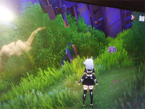 幻塔克罗恩原能塔蓝花怎么解锁？幻塔克罗恩原能塔蓝花解锁指南