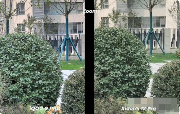 小米12Pro和iQOO9Pro拍照哪个好?小米12Pro和iQOO9Pro拍照性能对比介绍