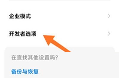 小米12开发者选项怎么打开?小米12开发者选项打开步骤分享
