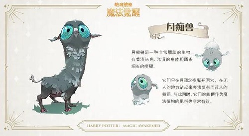 哈利波特魔法觉醒春节版本更新了什么？哈利波特魔法觉醒春节版本更新内容一览