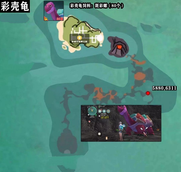 创造与魔法彩壳龟怎么获取？创造与魔法捕捉彩壳龟攻略