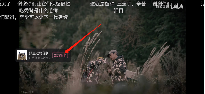 B站公益平台怎么用?B站公益平台介绍