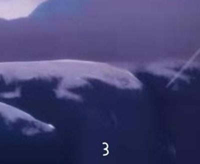 光遇地图大侦探地图推理答案是什么？光遇地图大侦探地图推理答案介绍