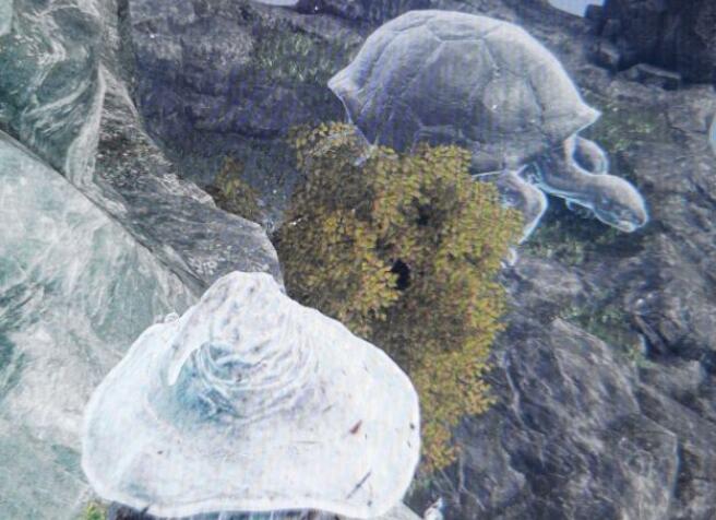 艾尔登法环菈妮的暗月在哪里？艾尔登法环菈妮的暗月位置一览