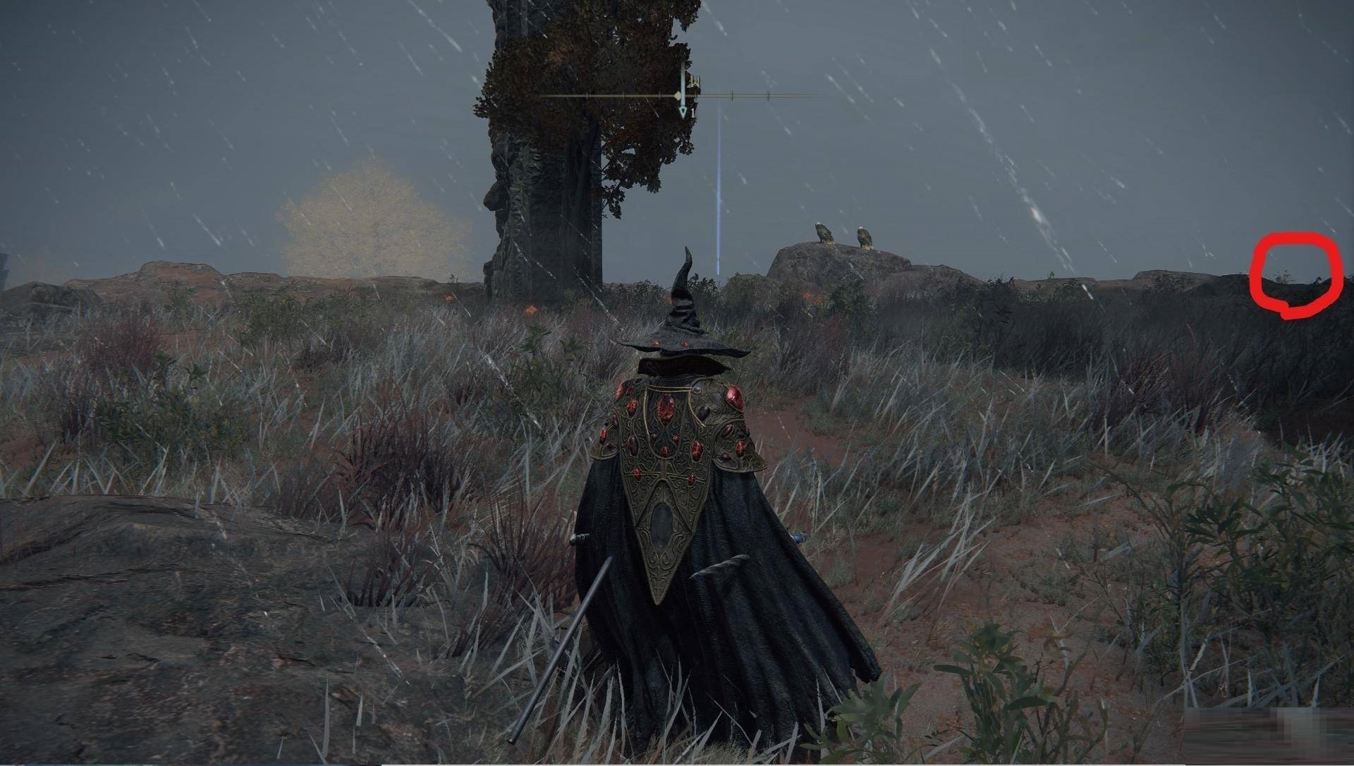 艾尔登法环野兽神庙隐藏小道在哪里？艾尔登法环野兽神庙隐藏小道位置介绍