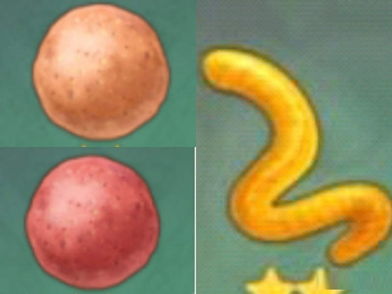 原神蒙德鱼竿风缠如何获取？原神蒙德鱼竿风缠获取方法