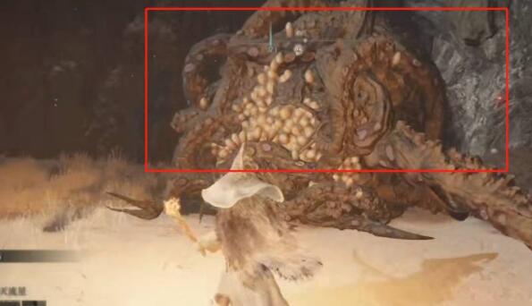 艾尔登法环安身洞窟在什么地方？艾尔登法环安身洞窟位置介绍