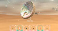 休闲游戏《Seashell》上架Steam 3月28日发售支持简中