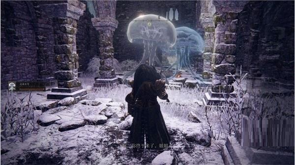 艾尔登法环水母支线任务怎么完成？艾尔登法环水母支线任务完成方法