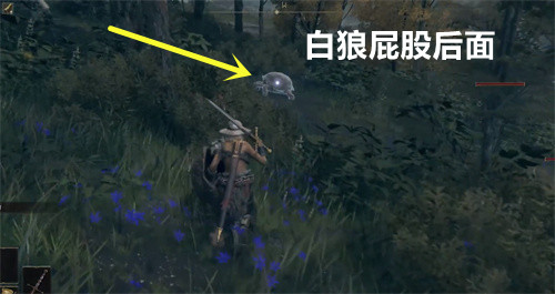 艾尔登法环三只睿智兽物在哪里？艾尔登法环三只睿智兽物位置介绍