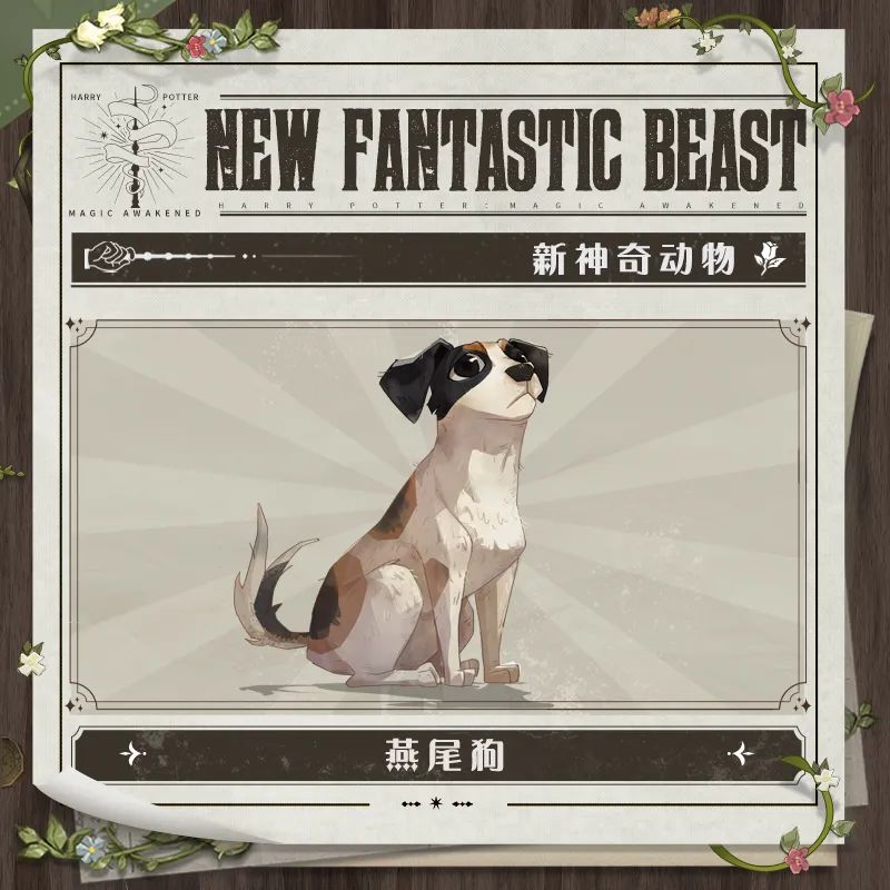 哈利波特魔法觉醒燕尾狗怎么样？哈利波特魔法觉醒神奇动物燕尾狗介绍