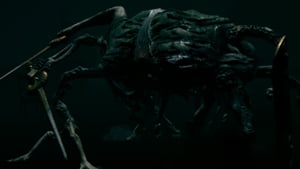 艾尔登法环boss分布在哪里？艾尔登法环所有boss分布位置介绍