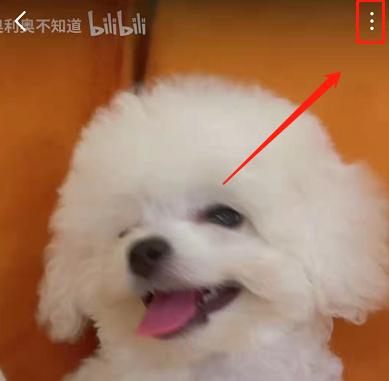 哔哩哔哩竖屏视频在哪里投币？哔哩哔哩竖屏视频投硬币方法