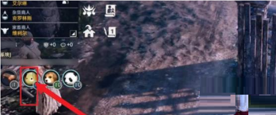 黑色沙漠手游宠物怎么切换？黑色沙漠手游宠物切换方法