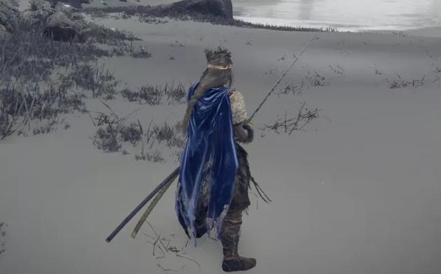 艾尔登法环武器单持和双持有什么不同？艾尔登法环武器单持和双持区别介绍