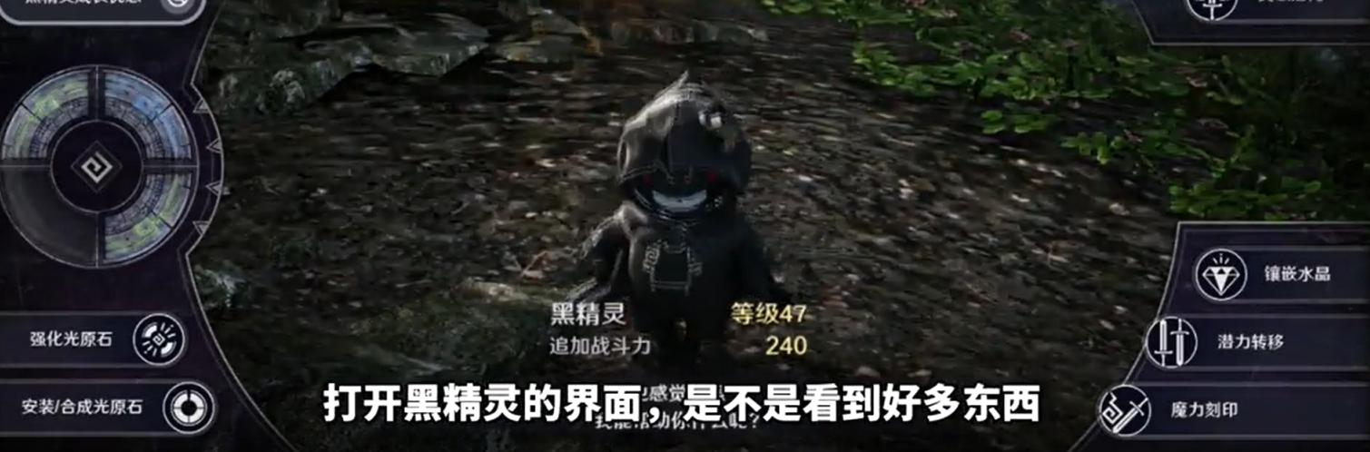 黑色沙漠手游黑精灵有什么用？黑色沙漠手游黑精灵作用一览