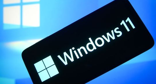 Windows11浏览器没网怎么解决？Windows11设置局域网络技巧