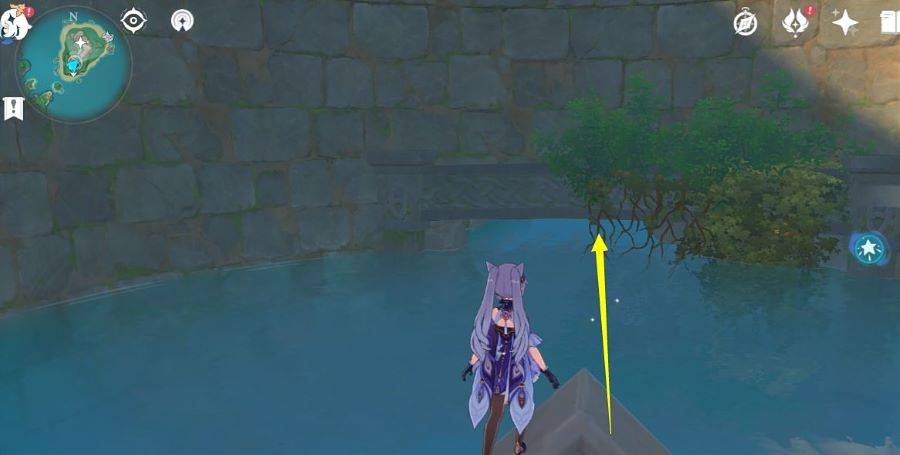 原神池中宅邸怎么解锁?原神池中宅邸解锁攻略