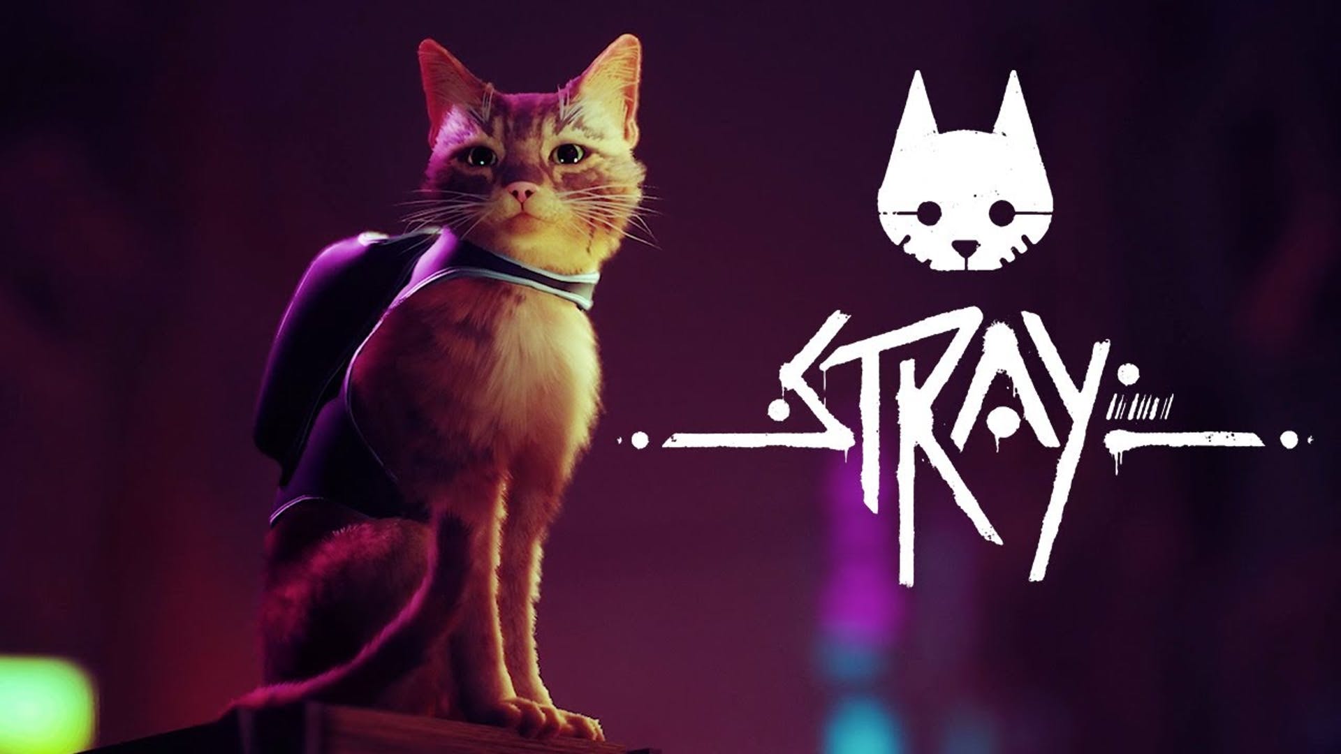 第三人称猫冒险游戏《Stray》2022年发售 登陆PS4、PS5和PC