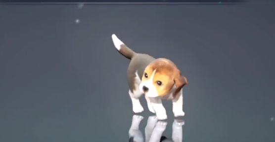 黑色沙漠手游赛林迪亚通行证任务如何完成？黑色沙漠手游赛林迪亚通行证任务完成攻略