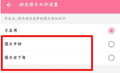 哔哩哔哩动态图片水印怎么关闭？哔哩哔哩动态图片水印关闭教程