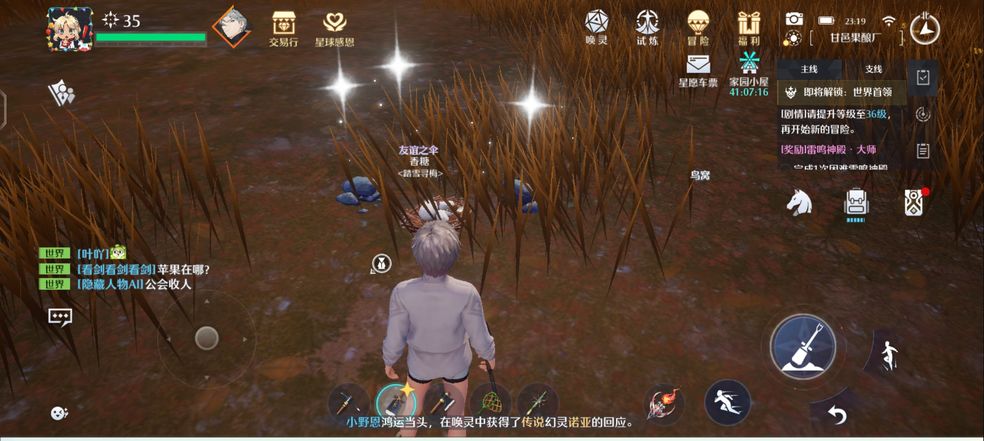 诺亚之心鸟窝在什么地方？诺亚之心鸟窝位置介绍