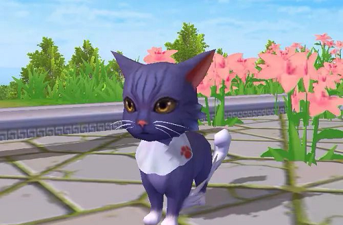 创造与魔法贝雅新猫如何获取？创造与魔法贝雅新猫获取攻略