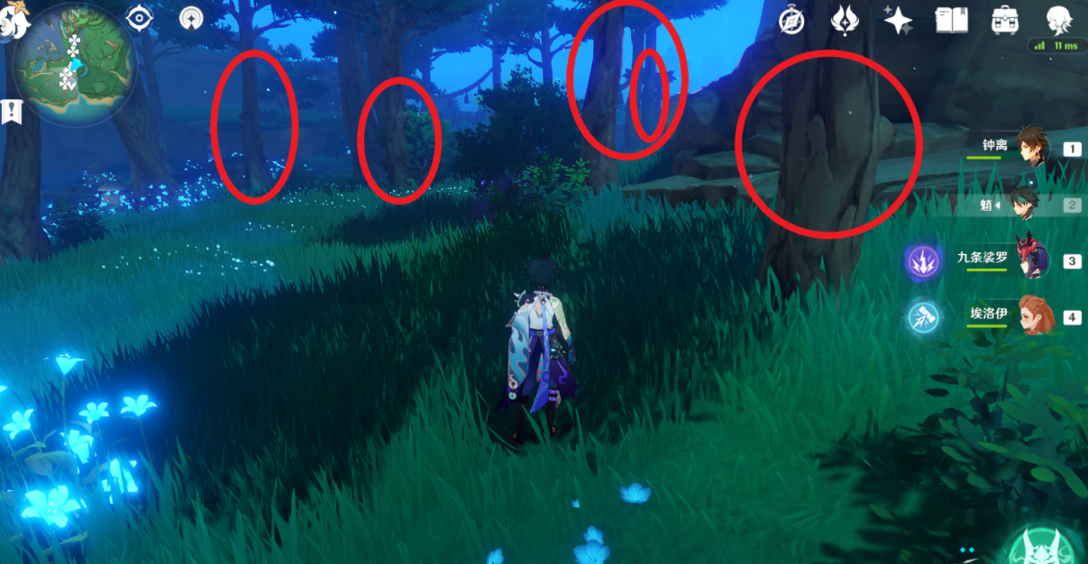 原神2.6孔雀木在哪采集？原神2.6孔雀木采集位置介绍