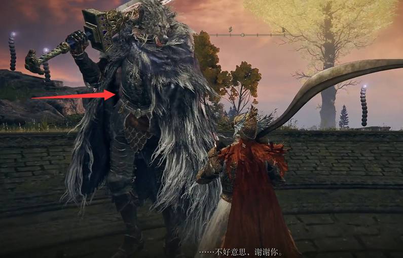 艾尔登法环狼哥被关在哪?艾尔登法环狼哥位置介绍