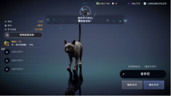 黑色沙漠手游黑色瘦猫任务怎么做？黑色沙漠手游黑色瘦猫任务完成方法
