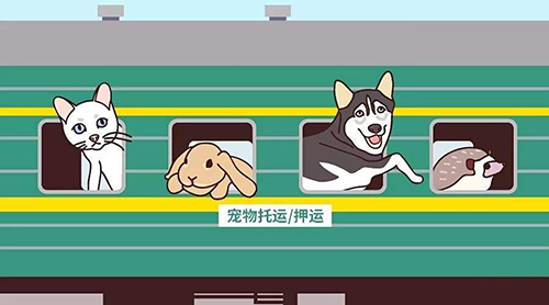 想带宠物猫一起乘火车出行，较为安全稳妥的方法是?支付宝蚂蚁庄园5月9日答案