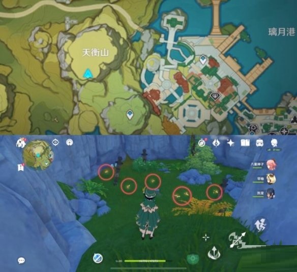 原神晶蝶聚集地在哪里？原神晶蝶聚集地获得攻略