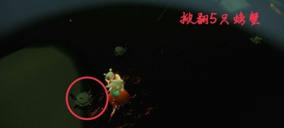 光遇5月5日每日任务怎么做?光遇5月5每日任务完成攻略