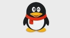 手机qq如何查看历史网名？手机qq查看历史网名的教程