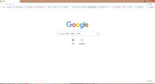 Google浏览器怎么清除网站cookie数据?Google浏览器清除cookie数据方法