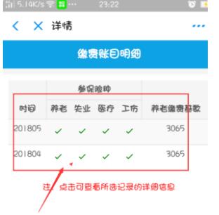 支付宝怎么查询养老保险缴费记录?支付宝查询养老保险缴费记录的方法