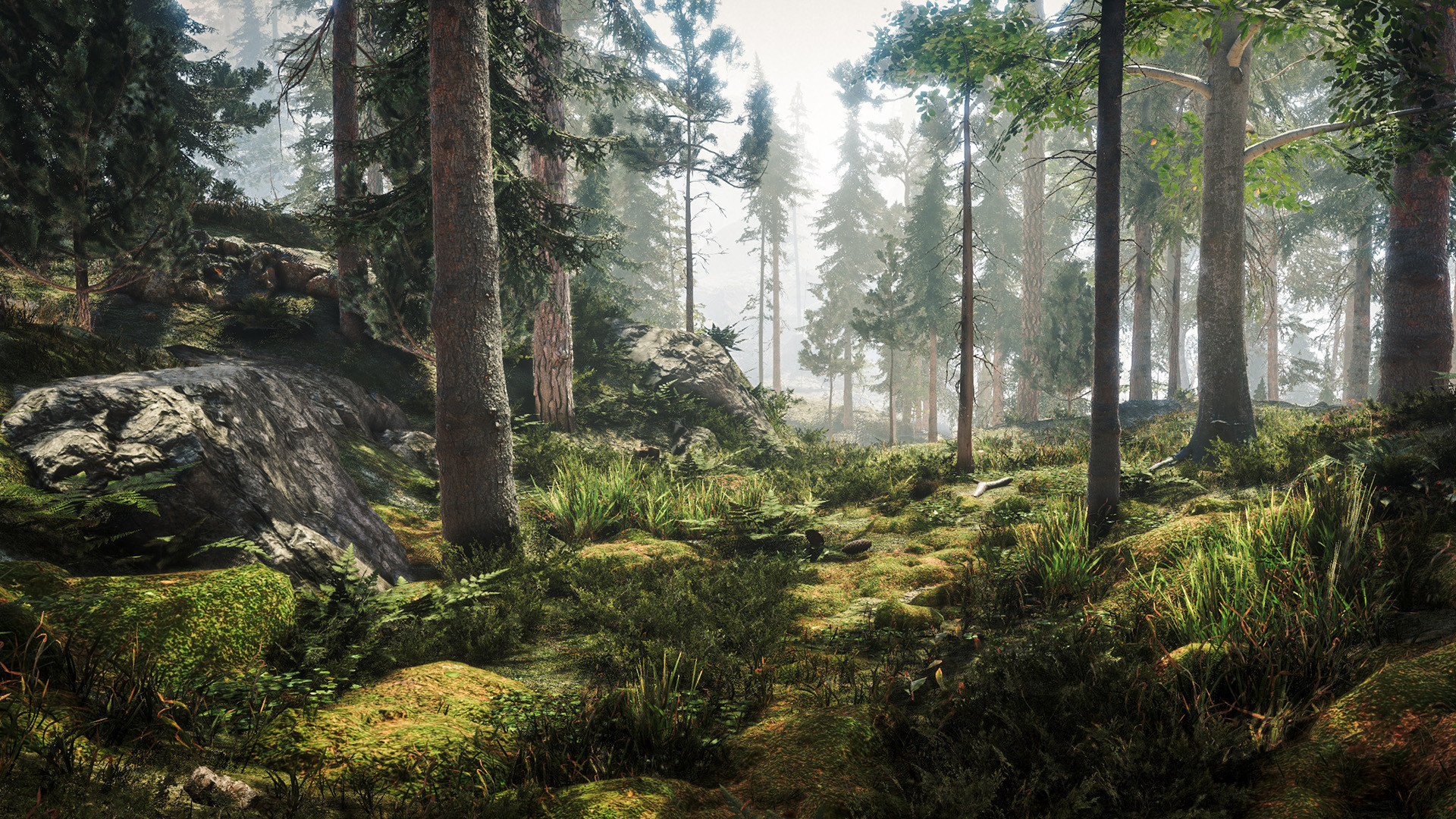 《黑森林迷踪》上架PC、Steam平台 推荐RTX 3060显卡