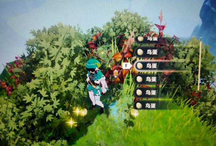 原神鸟蛋哪里多?原神鸟蛋位置介绍