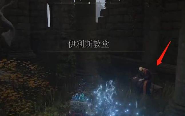 艾尔登法环深具睿智怎么获得?艾尔登法环深具睿智获得攻略