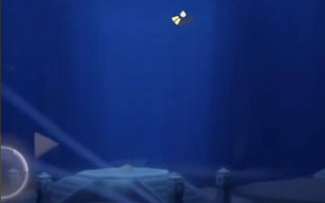 光遇白鸟发型如何获得？光遇白鸟发型获得攻略