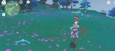 原神一袋花种怎么用？原神一袋花种用法攻略