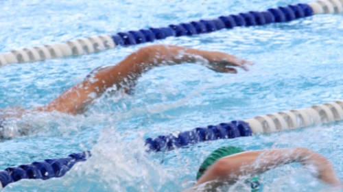 夏天游泳入水前,很多人喜欢用泳池水擦洗胸部四肢等,是为了?支付宝蚂蚁庄园6月30日答案 