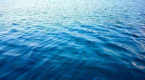 人不能直接喝海水，主要因为?支付宝蚂蚁庄园6月27日答案