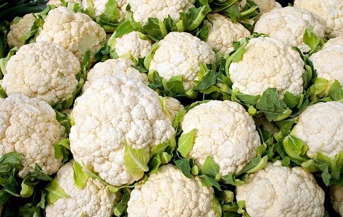 人们平时吃的花椰菜，主要食用的是它的哪个部分?支付宝蚂蚁庄园6月22日答案