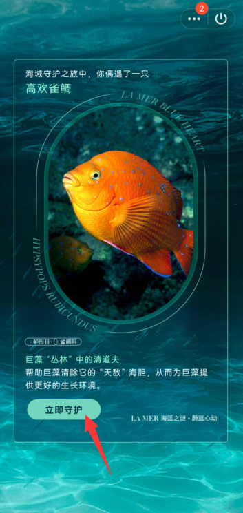QQ守护海洋生物怎么参与？QQ守护海洋生物参与教程